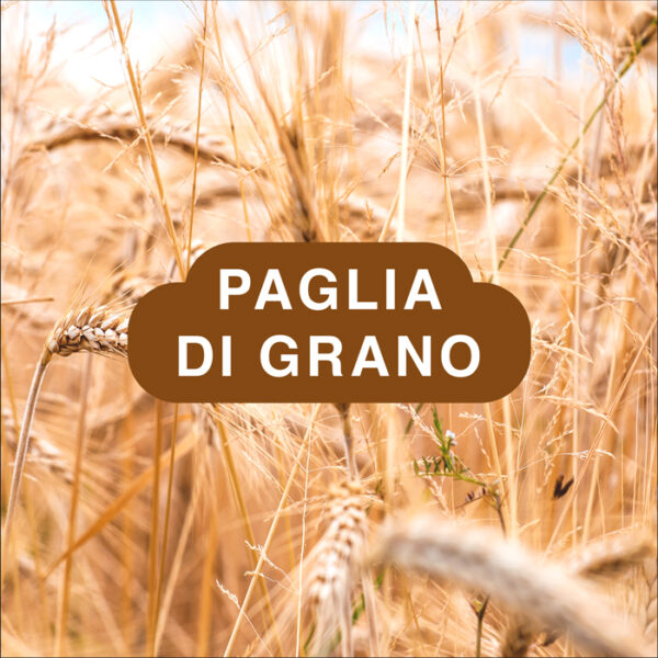 Paglia di Grano